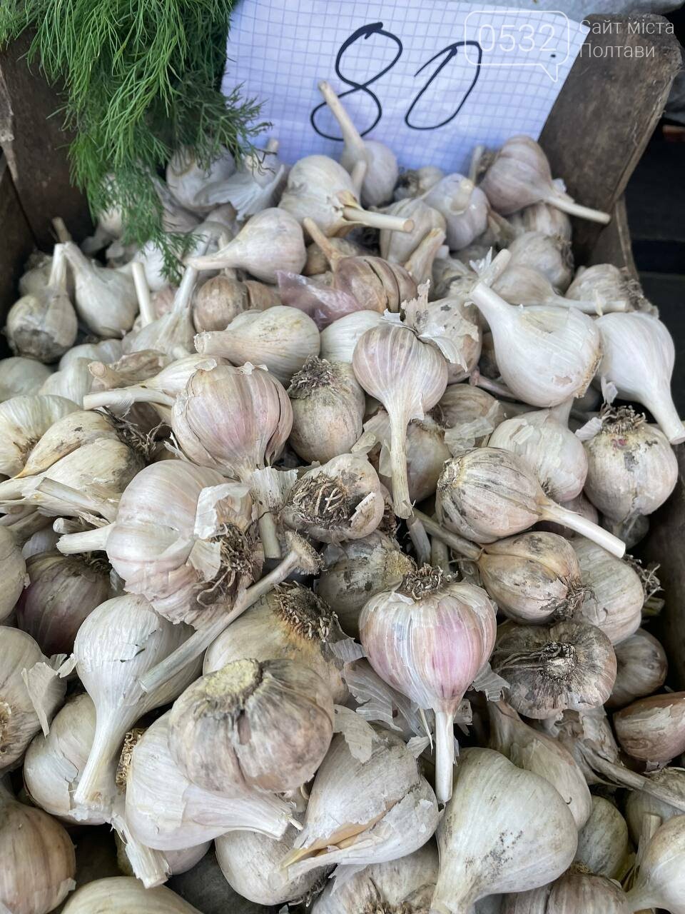 Попри початок осені на «Хитрому» ринку Полтави все ще літні ціни: кавуни і картопля – від 5, перець – від 10, а малина - від 35