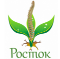Росток, центр вертебрології, лікування хребта, ортопед