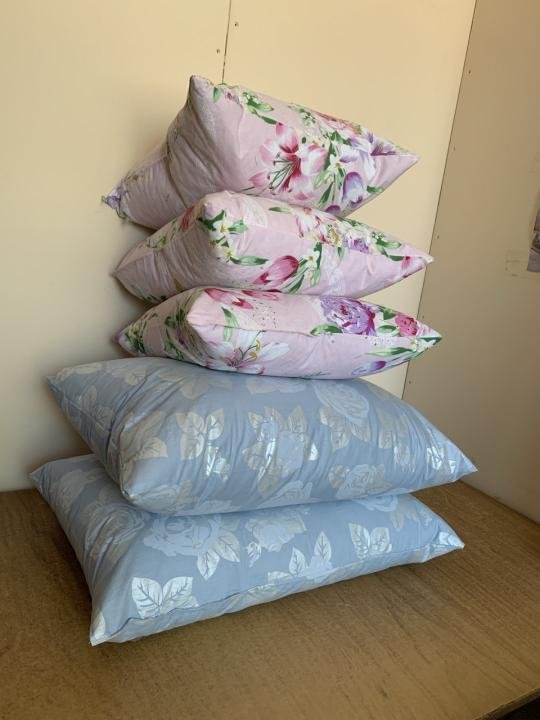 Логотип - Чистка та дезінфекція пухо-пір´яних подушок, майстерня чистки подушок в Полтаві