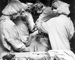 Фото: з відкритих джерел