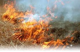 На Полтавщині 78-річний дідусь обгорів, коли палив траву