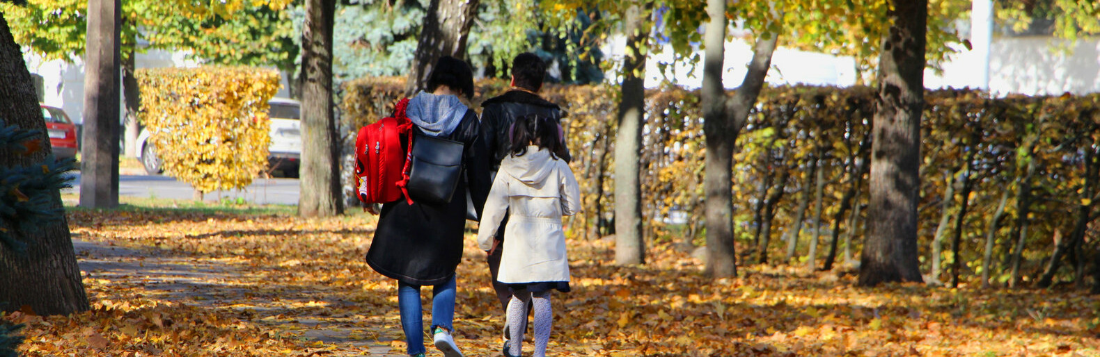 Осіння прогулянка вулицями Полтави Осіння прогулянка вулицями Полтави, Володимир Паршевлюк