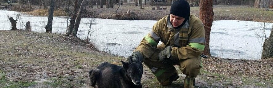 Під Полтавою врятували собаку, що провалилася під кригу Під Полтавою врятували собаку, що провалилася під кригу, Оксана Солопко