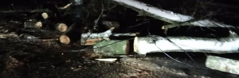 У Полтаві через вітер повалені дерева та знеструмлені кілька мікрор... У Полтаві через вітер повалені дерева та знеструмлені кілька мікрорайонів, Володимир Паршевлюк