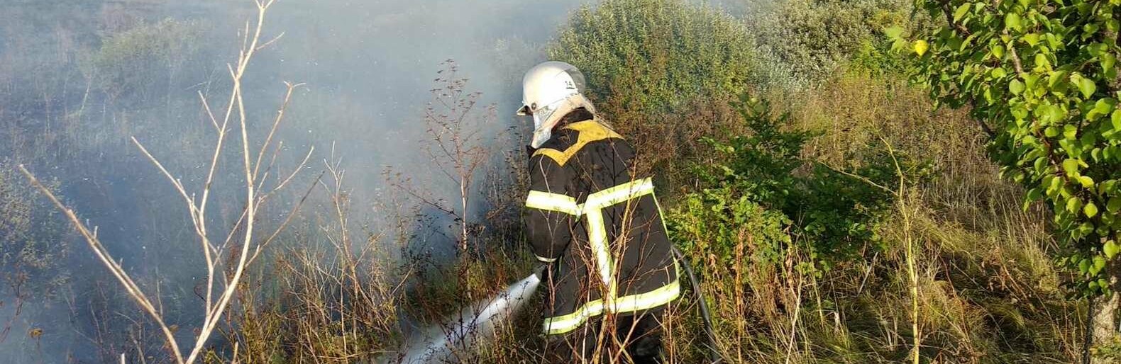 На Полтавщині за добу загасили 30 пожеж на відкритій території На Полтавщині за добу загасили 30 пожеж на відкритій території, Володимир Паршевлюк