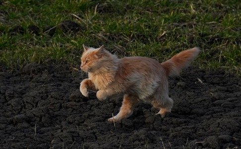 Якої  погоди полтавцям чекати у перший день квітня