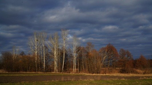 Якою буде погода у перші квітневі вихідні