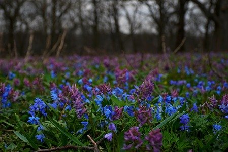 Чи надовго в Україну прийшли дощі?