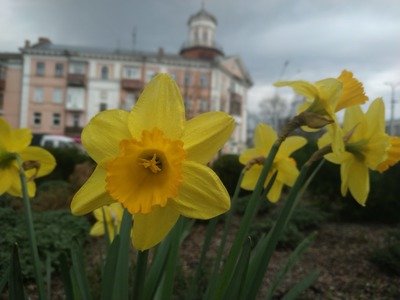 Синоптики розповіли, якою буде погода на Великдень