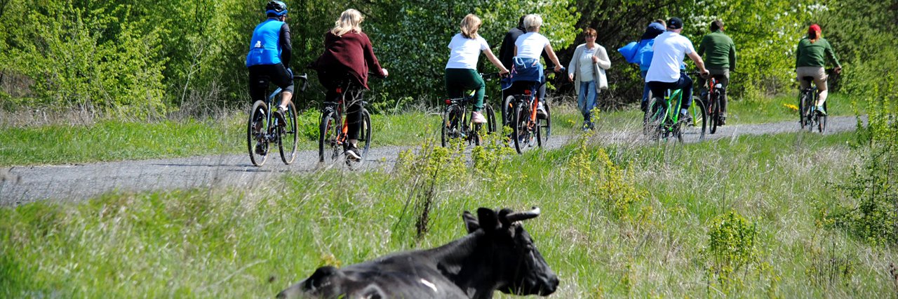 На Полтавщині презентували новий туристичний маршрут Greenways