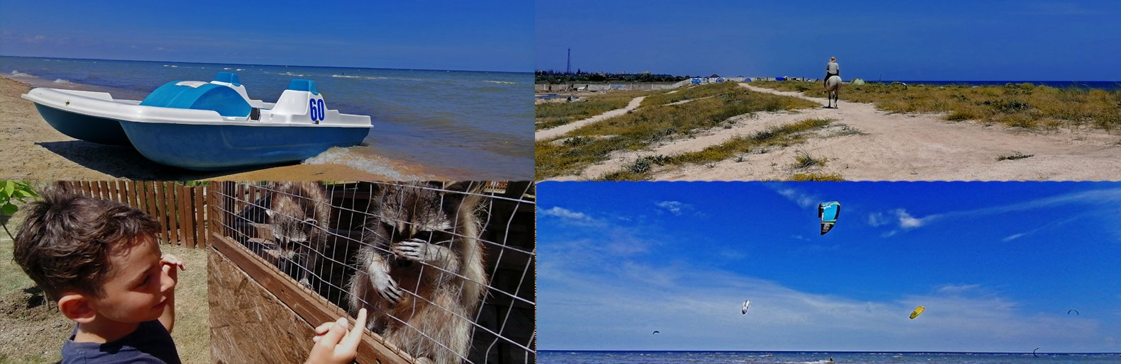 Знайшли місце для цікавого і корисного відпочинку на Азовському морі: із Рожевим озером, лікувальними грязями, дельфінарієм та сафарі-парком