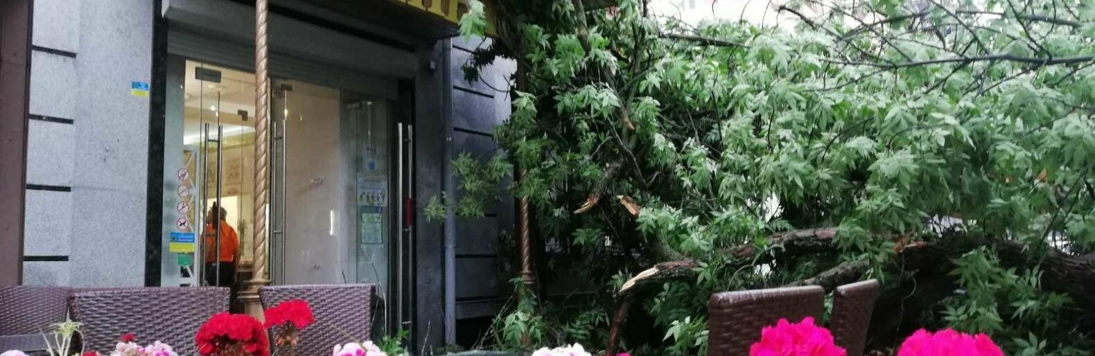 У Полтаві в центрі міста дерево впало на літній майданчик кафе