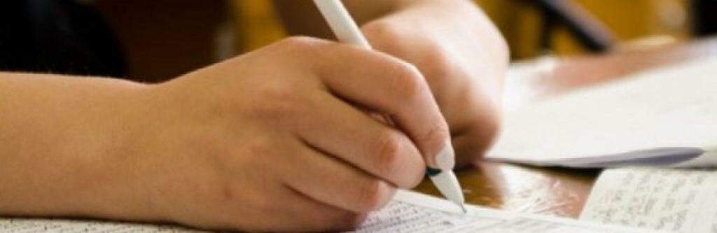 Цього року 550 випускників склали ЗНО на найвищий бал 