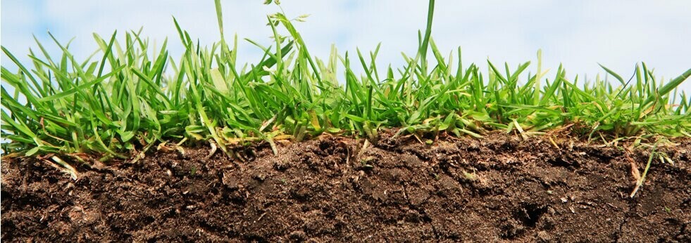 Аналіз грунту