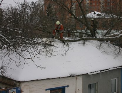IMG_0055